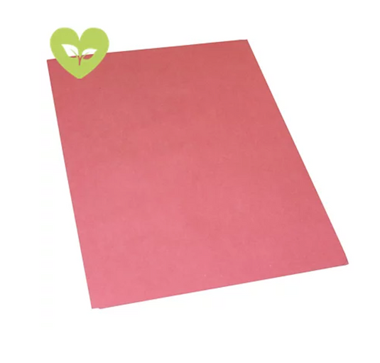 Cartellina semplice in cartoncino vari colori